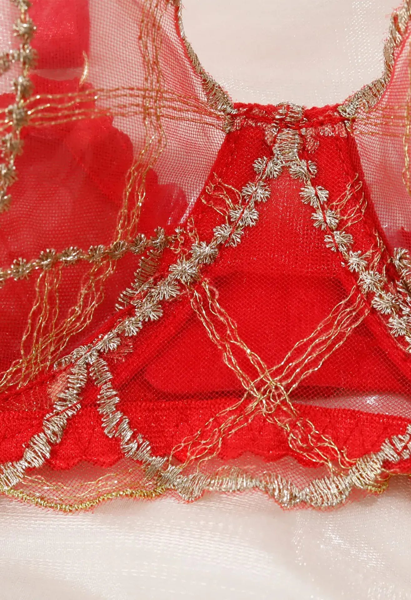 Crimson Flame red lace panty highlighting soft mesh lace texture.