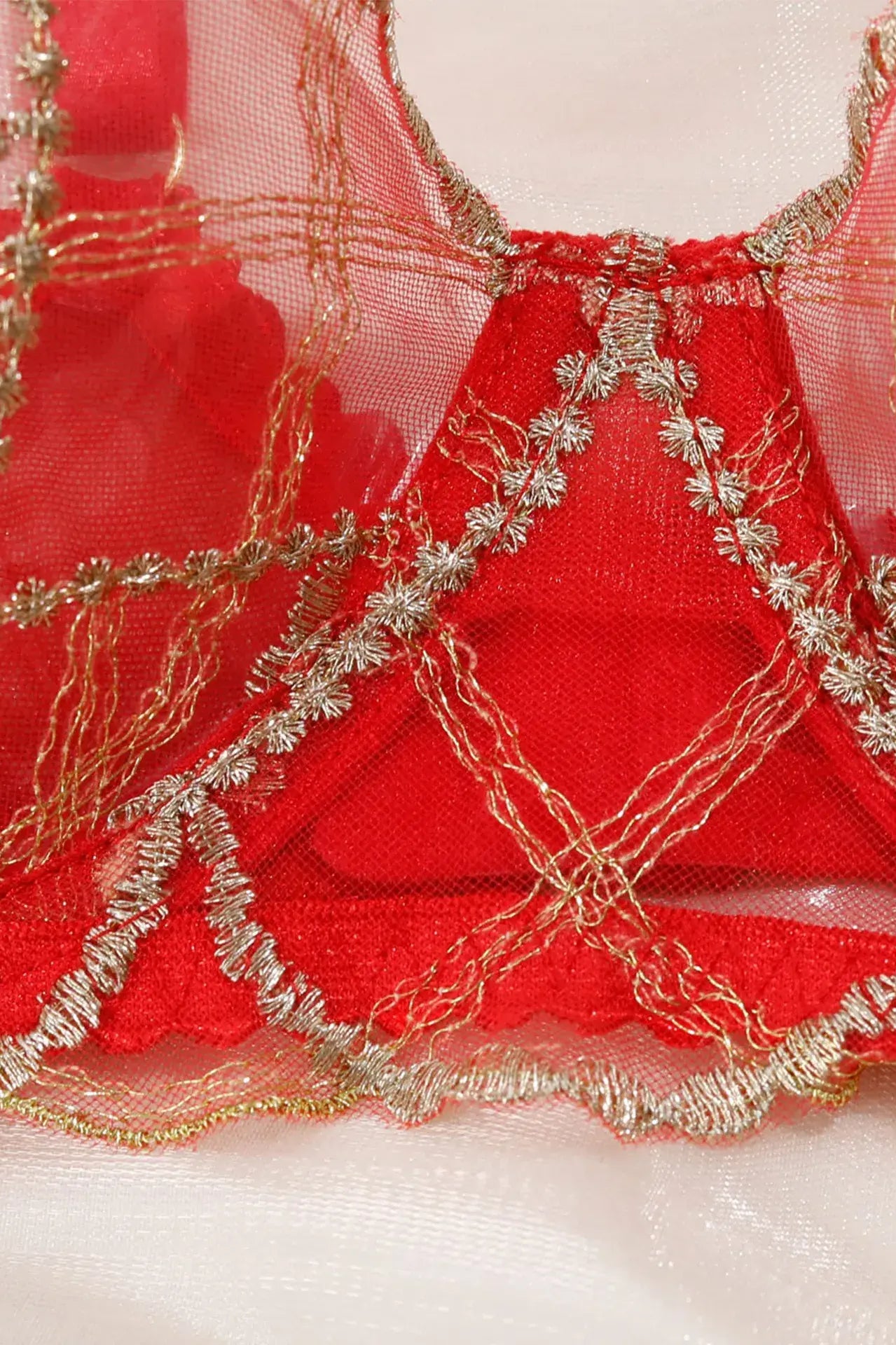 Crimson Flame red lace panty highlighting soft mesh lace texture.