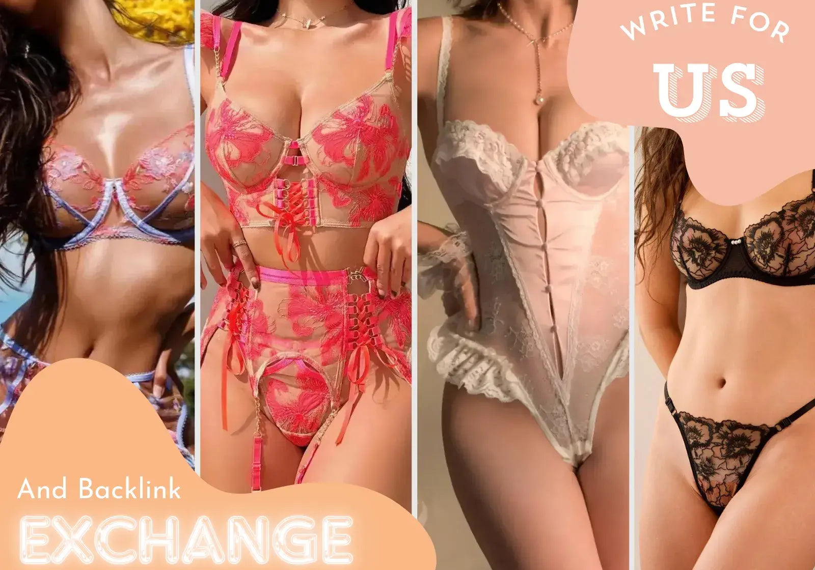Lingerie model showcasing lingerie with text "Write for Us & Backlink Exchange" on LingerDiary blog for guest post collaboration