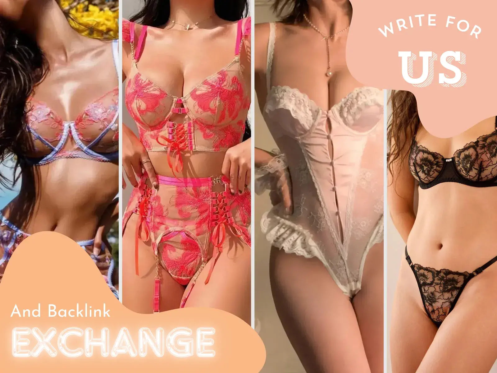 Lingerie model showcasing lingerie with text "Write for Us & Backlink Exchange" on LingerDiary blog for guest post collaboration