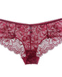 Cotton Gusset Sheer Sexy Lace Panties - gosundaymarket