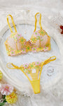 Daisy Embroidered Sheer Push - Up Bra Sexy Lingerie Set - gosundaymarket