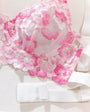 Girl Next Door Embroidered Sheer Mesh Lingerie - gosundaymarket