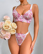 Girl Next Door Embroidered Sheer Mesh Lingerie - gosundaymarket