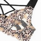 Leopard Print Sheer Embroidered Push - Up Lingerie Set - gosundaymarket